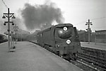 34023 Basingstoke