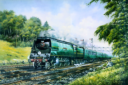 34059 Golden Arrow